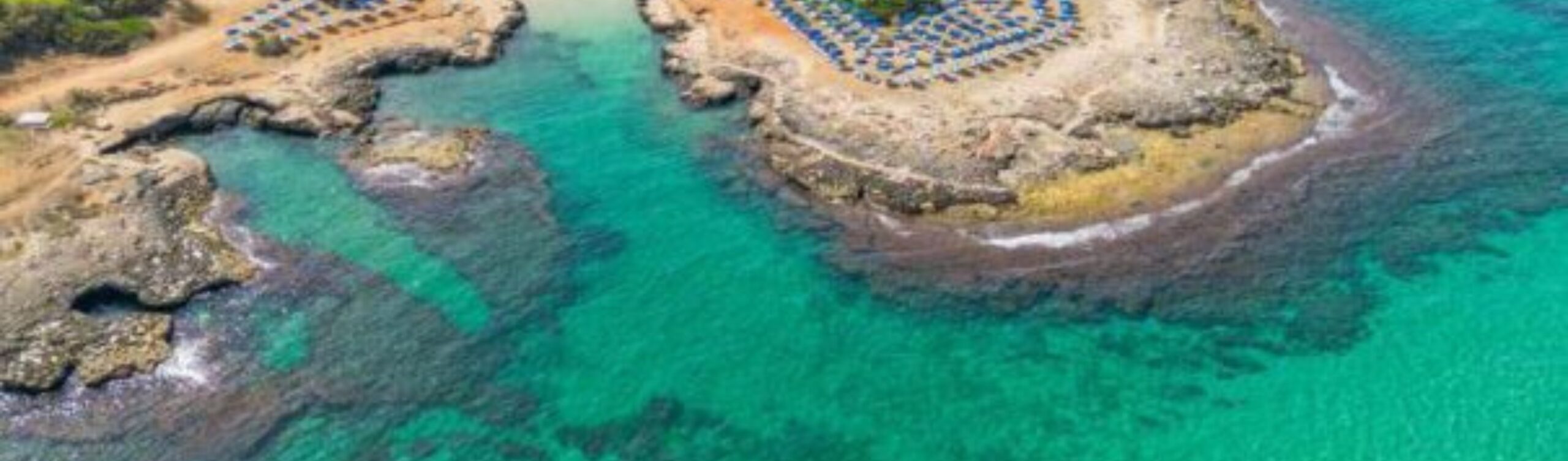 Alt Immagine