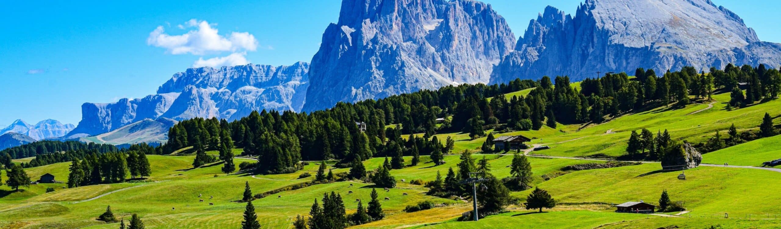 Alt Immagine