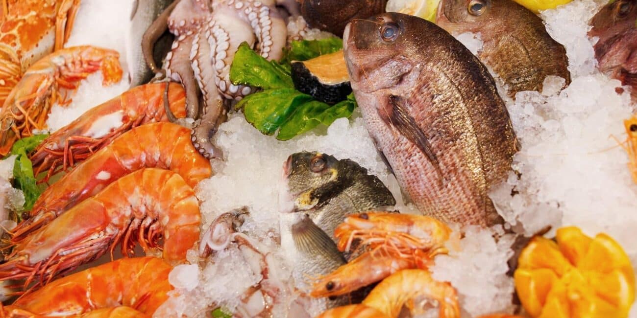 Viaggio Organizzato Rimini 2025 - Pranzo di Pesce - Garattini Viaggi