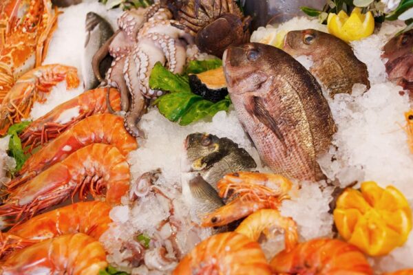 Viaggio Organizzato Rimini 2025 - Pranzo di Pesce - Garattini Viaggi